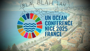 Une nouvelle conférence des Nations unies, une nouvelle opportunité? Ou pas