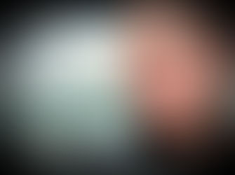 «Nos jeunes scientifiques sont dans un environnement qui les espionne pour le compte des USA»