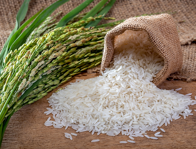 Untitled design (11).png