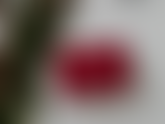 Red Sculptra box on a white surface beside dried grasses. "Glow" text in elegant font at top right. Clean, minimal aesthetic.