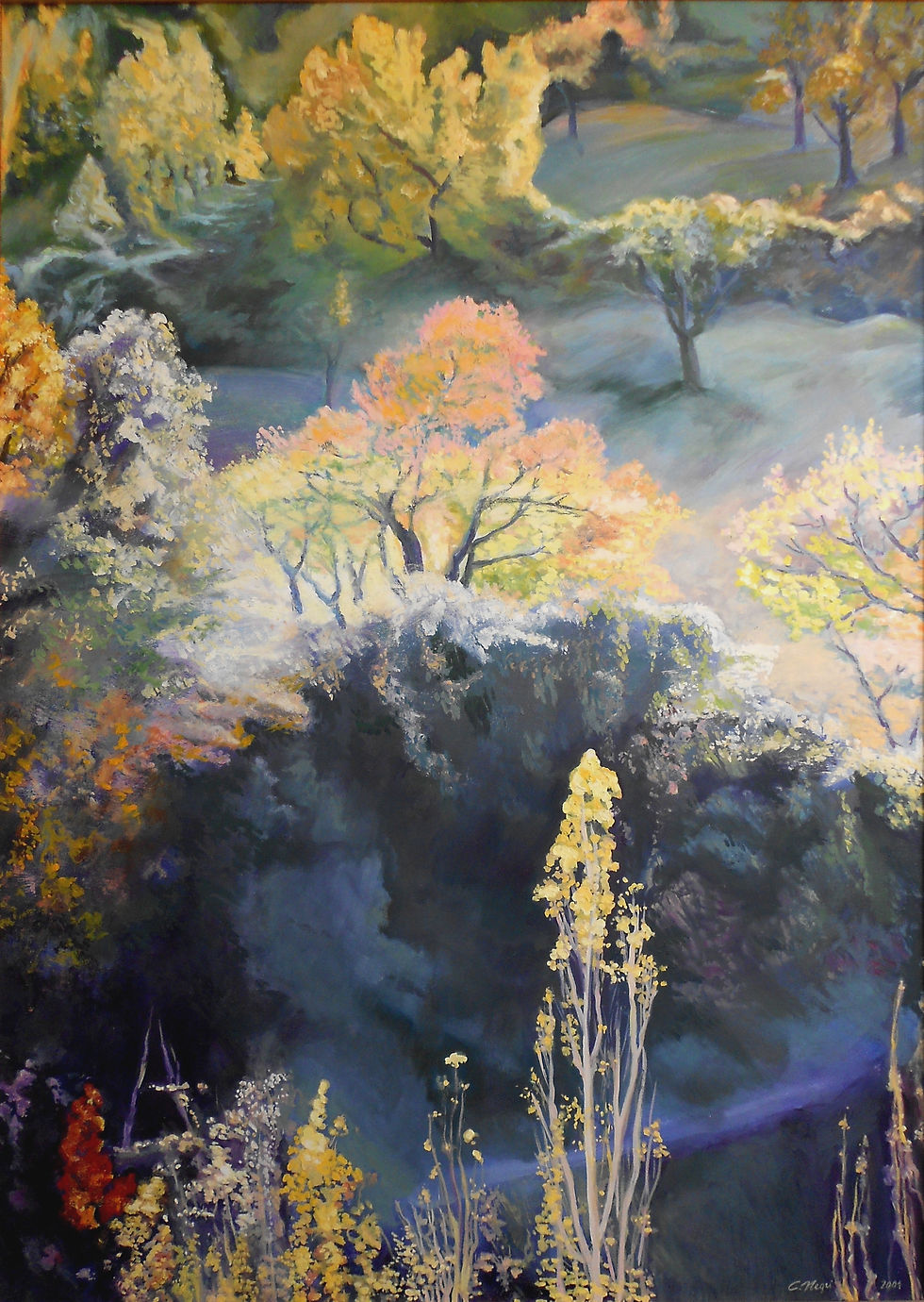 Carla Negri 2001 - Paesaggio in Provenza - olio su tela - 70x100.jpg