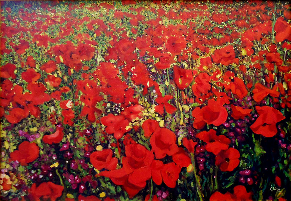 Carla Negri 2001 - Campo di papaveri - olio su tela - 70x90.jpg