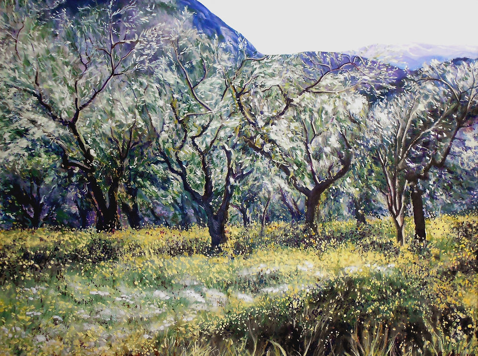 Carla Negri 2001 - Paesaggio con ulivi in Provenza - olio su tela - 60x80.jpg