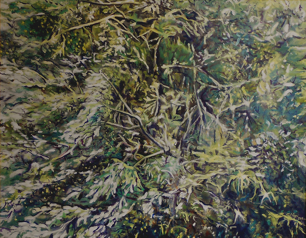 Carla Negri 2001 - Albero microcosmo infinito - olio su tela - 70x90.jpg