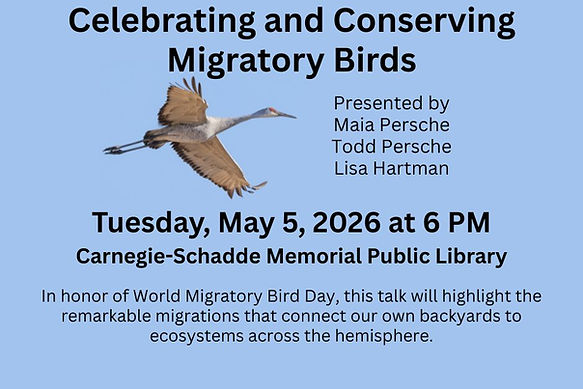 Celebrating and Conserving Migratory Birds