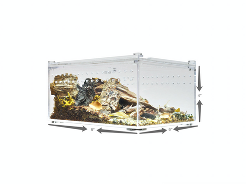 ✳【514】チャングンソク　NATURE REPUBLIC　卓上ミニパネル Acrylic Enclosure - Small Flat | HerpCult