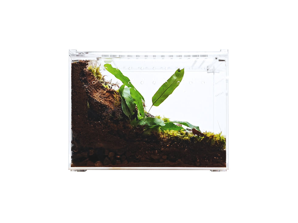 Thumbnail: Acrylic Enclosure - Medium Flat Clear Top