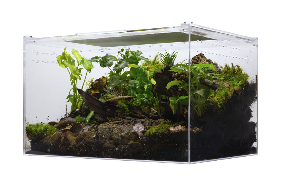 Thumbnail: Acrylic Enclosure - XLarge Screen Top