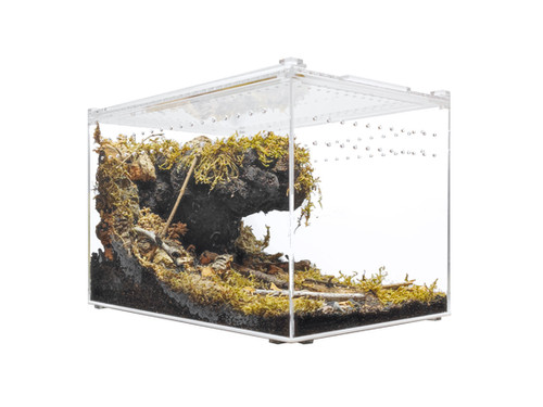 Enclosure — large enclosure in Maddyboy
