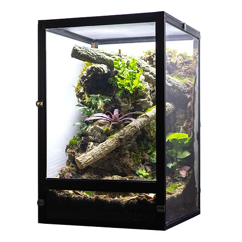 Acrylic Front-Opening Enclosure - XXXLarge | HerpCult