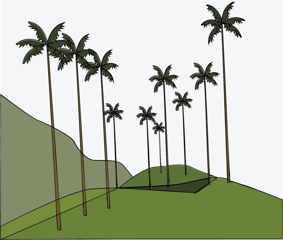 Valle del cocora