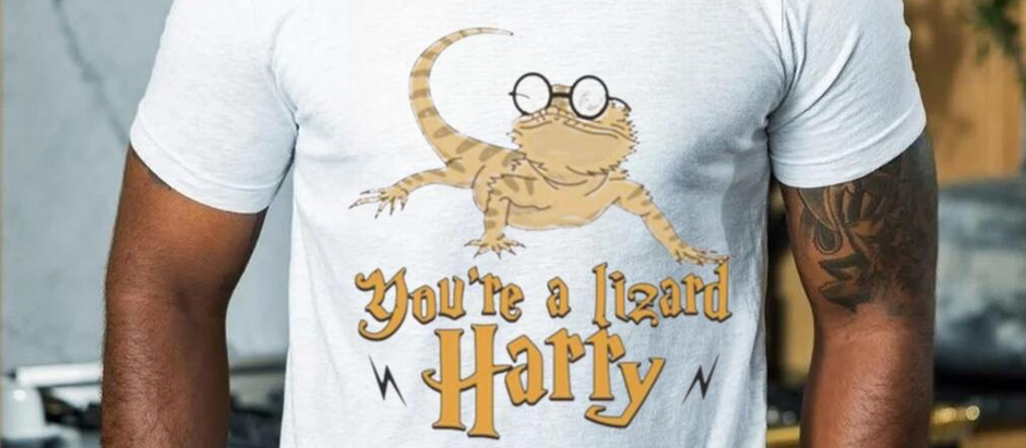 You’re A Lizard Harry Funny Reptile Gift Shirt