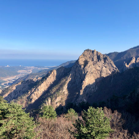 KR - Seoraksan Park, Leaf peeper
