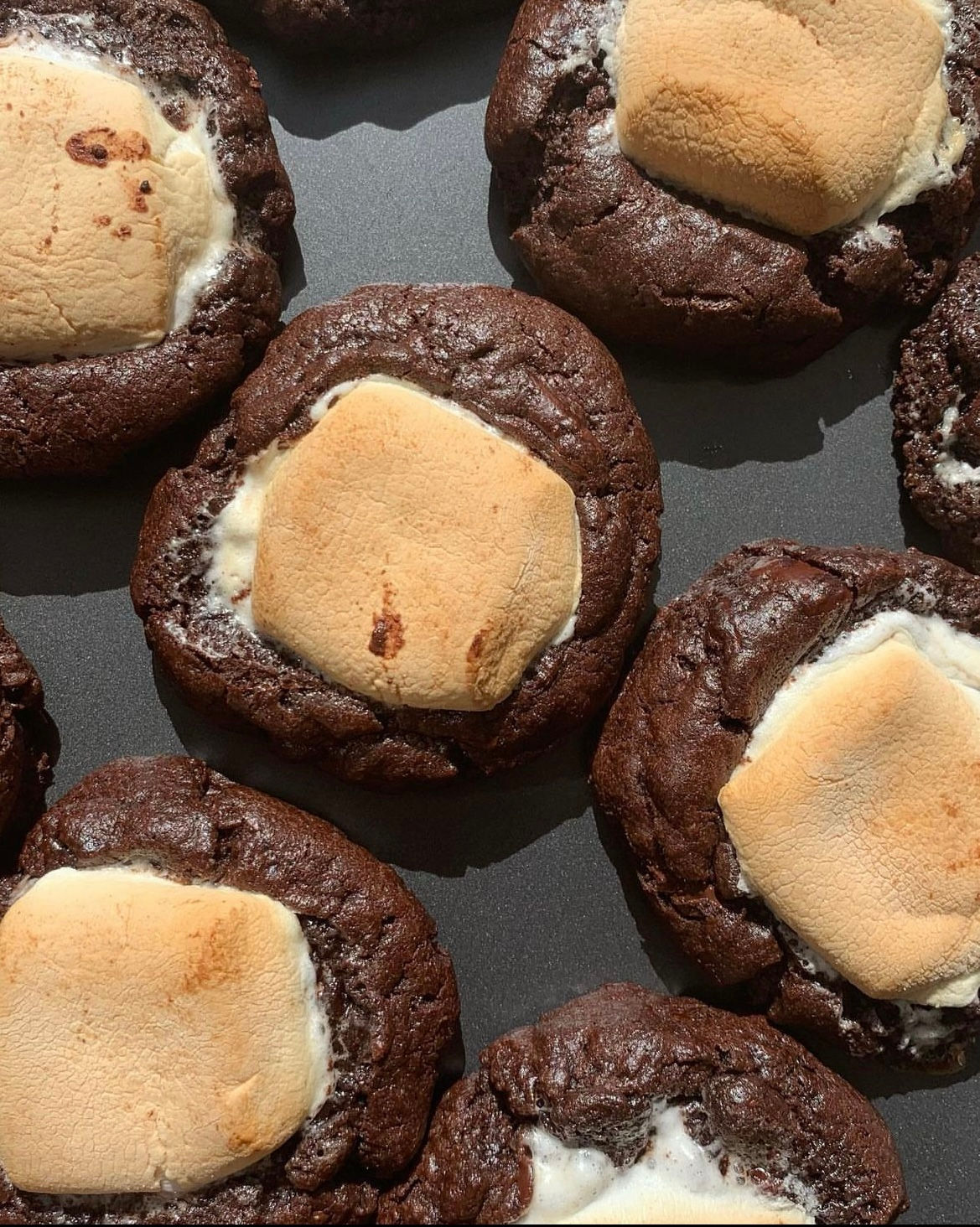 Double Dark Chocolate