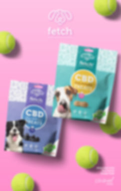 fetch-dog-treats