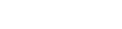 NL - Activités.png