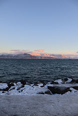 IMG_0050.JPG