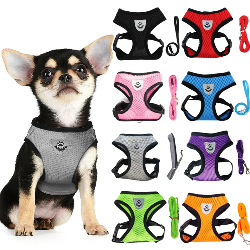 Cat Small Dog Breathable Mesh Harness And Leash Kitten Cats Harnesses Little Dog