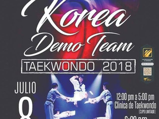 Korea Demo Team llegó a Monterrey