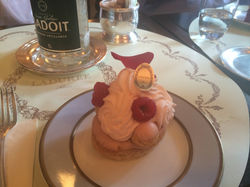 Stephanie's iPhone Pictures 2612