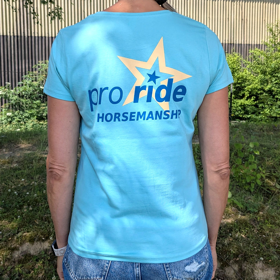 Miniaturbild: pro ride HORSEMANSHIP Damen T-Shirt mit Spruch