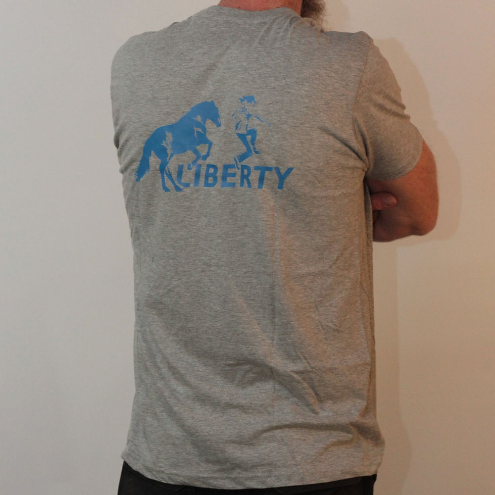 Miniaturbild:  pro ride LIBERTY Logo T-Shirt Herren Hinten grau