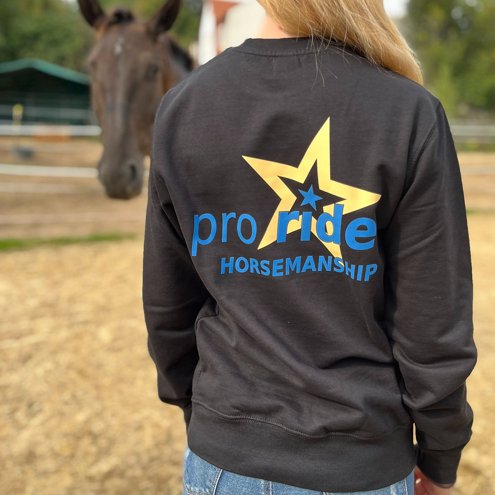 Miniaturbild: Sweatshirt pro ride Horsemanship
Rückseite mit Logo in schwarz