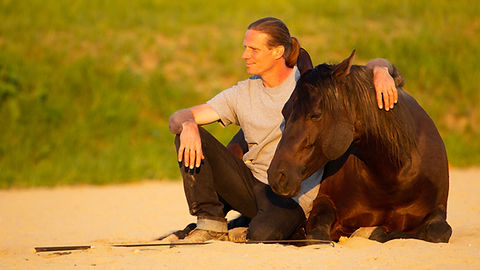 pro ride Mediathek Ausbildungspferde