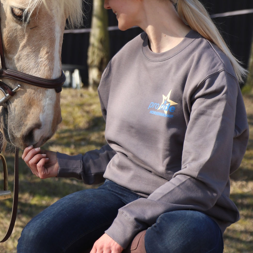 Miniaturbild: Sweatshirt pro ride Horsemanship