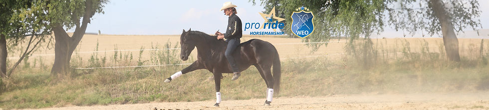 Mann mit seinem Pferd beim Dressurreiten