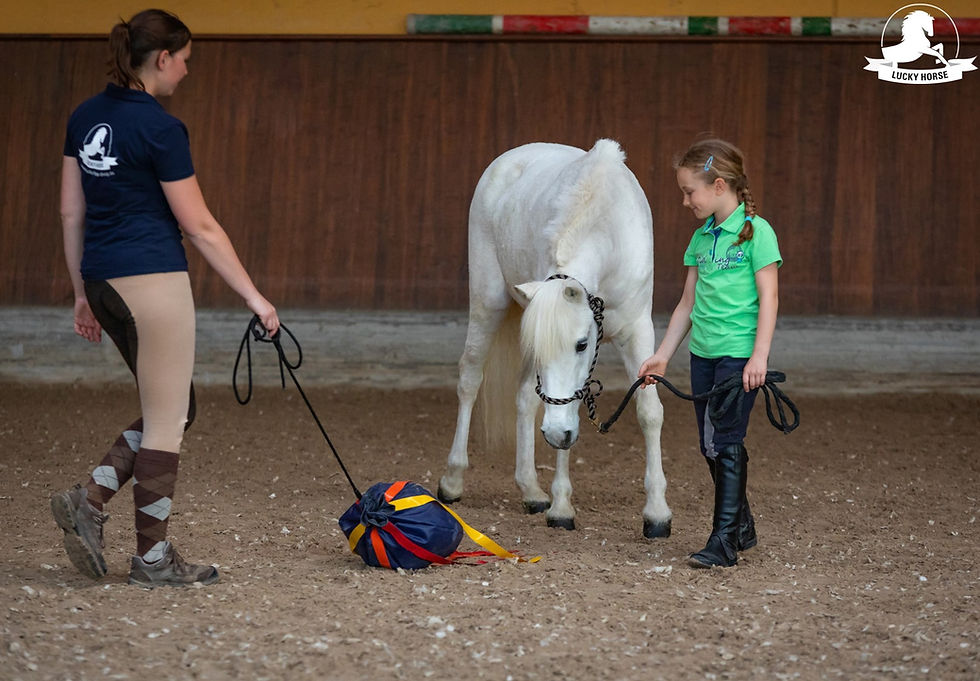 Miniaturbild: Lucky Horse Flatterball