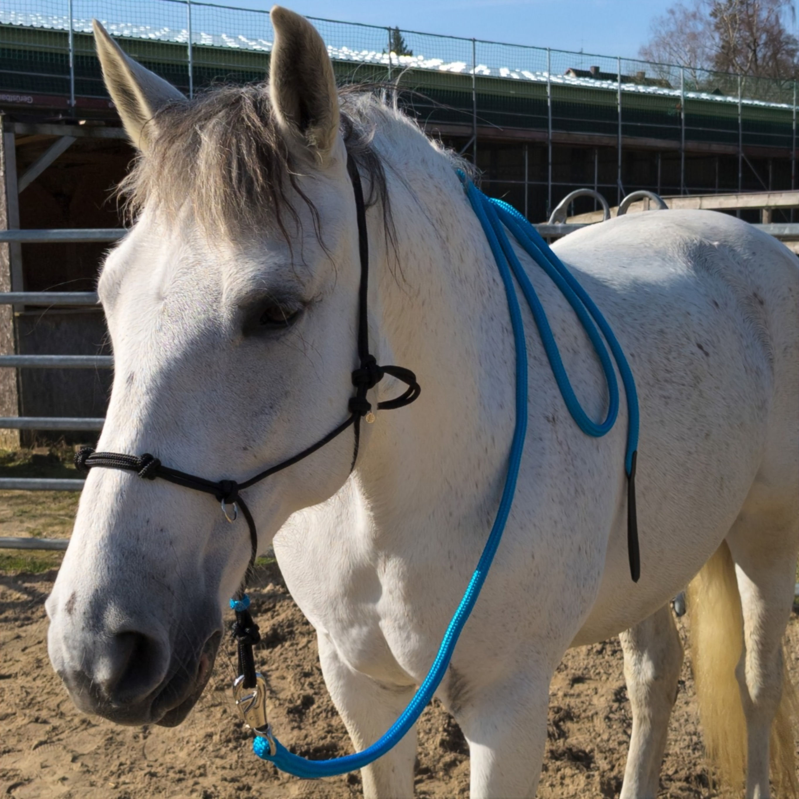 4 Meter Arbeitsseil von filogran