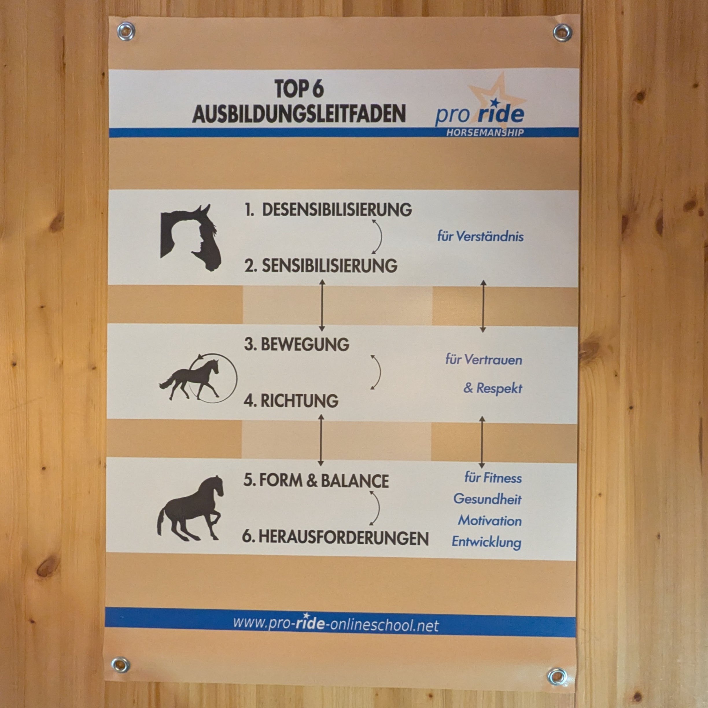 pro ride HORSEMANSHIP Konzeptbanner