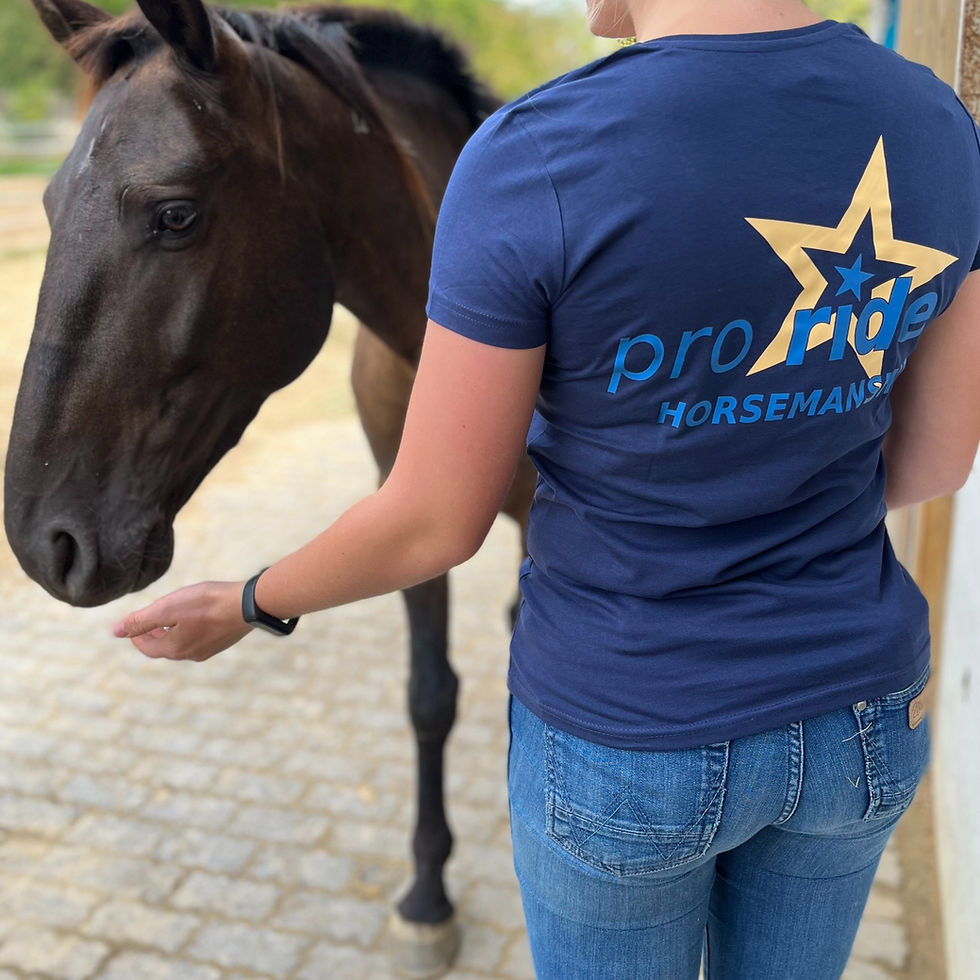 Miniaturbild: Horsemanship T-Shirt V-Neck dunkelblau Rücken Logo
