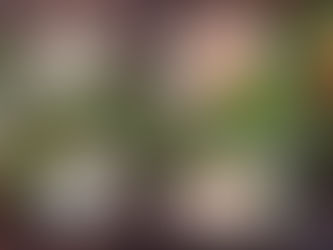 Kersttafel magic in een handomdraai