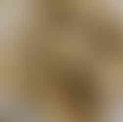 DIY Süße Wiener Hundekekse