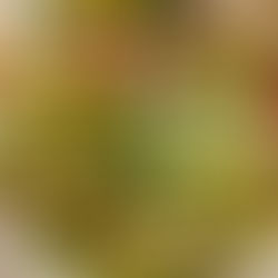 Creamy pasta salad with chicken and yogurt dressing