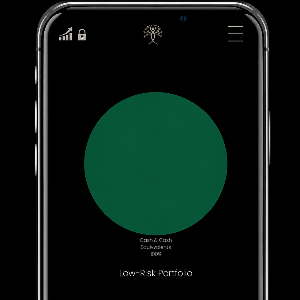 Our Low-Risk Portfolio