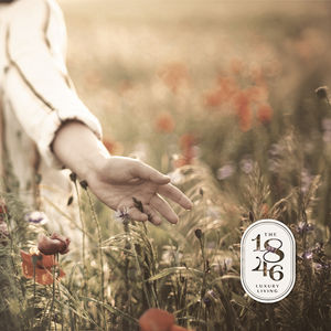 The 1846 Texas Hill Country Living branding with lifestyle image of hand in wildflowers