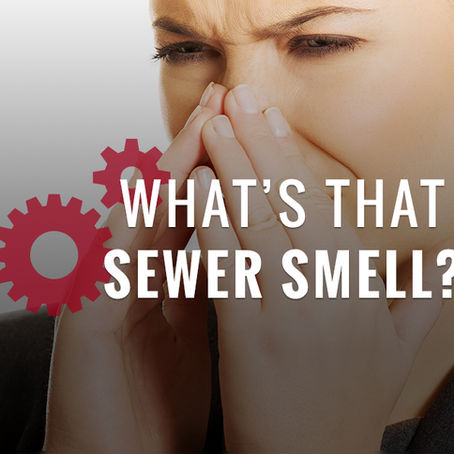 How to Eliminate Basement Odor and Sewer Smells