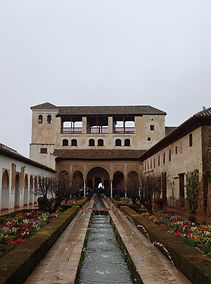 IMG_1793.jpg