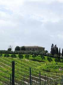 IMG_2005.jpg