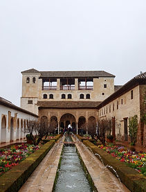 IMG_1793.jpg