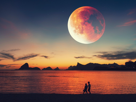 May Full Moon: Taking Stock of What’s Actually Working