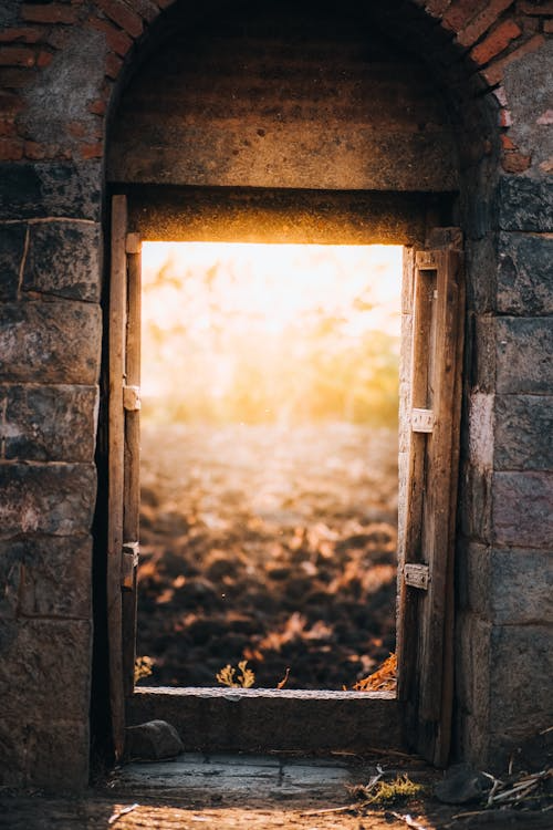 Allowing Yourself to Outgrow Old Expectations