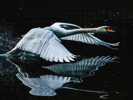 Creating Emotional Space Before Responding