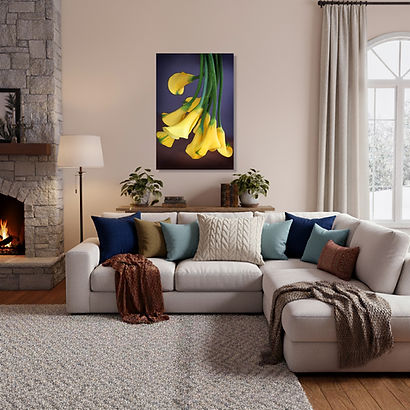 Interior design options, wall art, flower photography, Calla Lily, Yellow Calla Lily, flower images