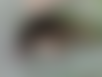 Shrews with Dr Dina Dechmann