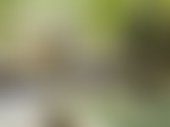 Uzès, votre nouvelle vie : l'éloge de la lenteur heureuse