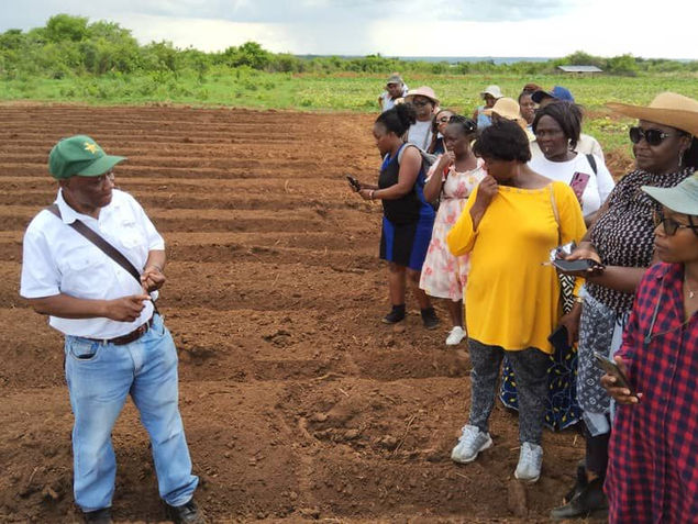 Agriculture and livestock